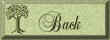 5btback.jpg (1906 bytes)